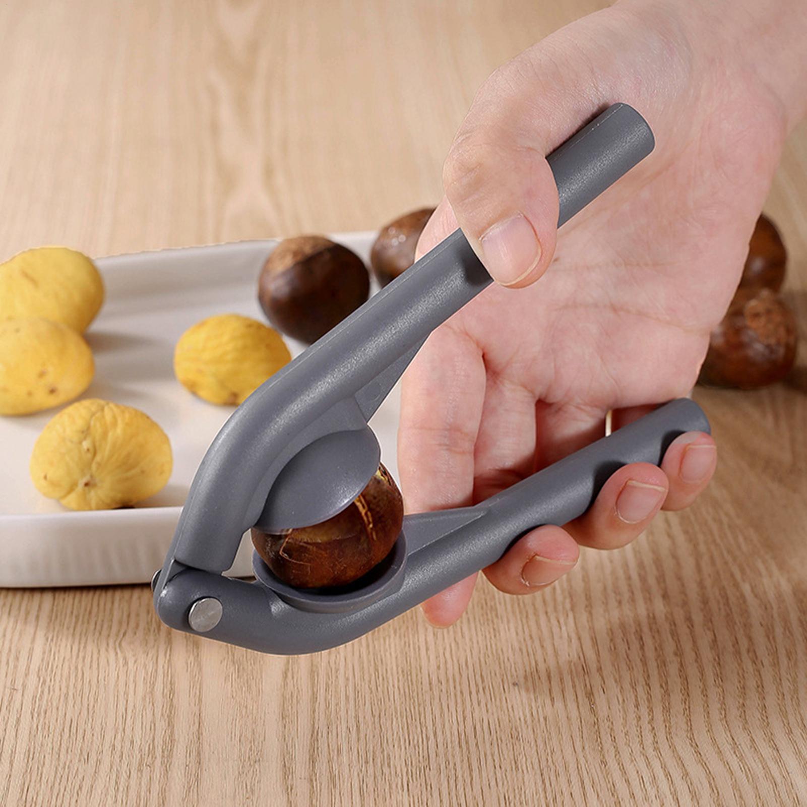 Roestvrijstalen kastanjeschill - Kitchen Gadgets Home Party recensie en prijs
