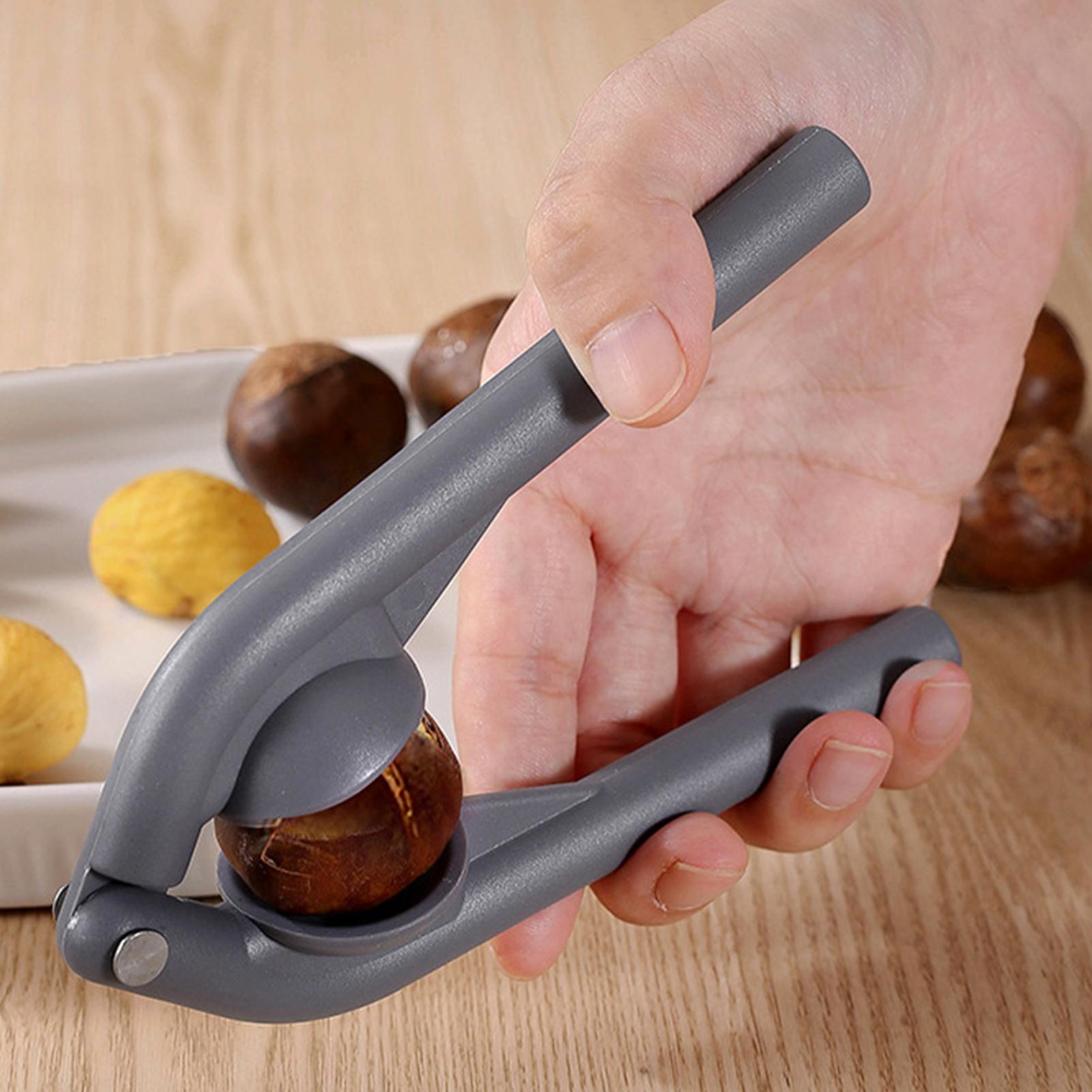 Roestvrijstalen kastanjeschill - Kitchen Gadgets Home Party recensie en prijs