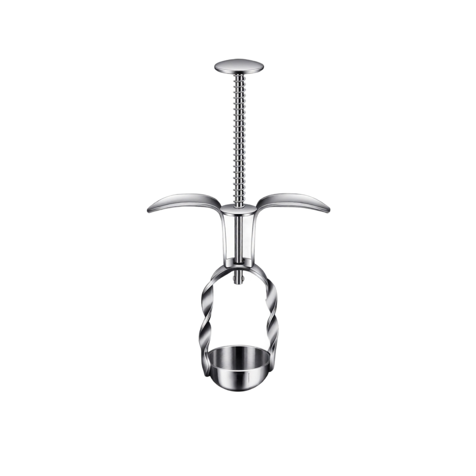 Roestvrijstalen rode dadelontp - Kitchen Gadgets And Tools recensie en prijs