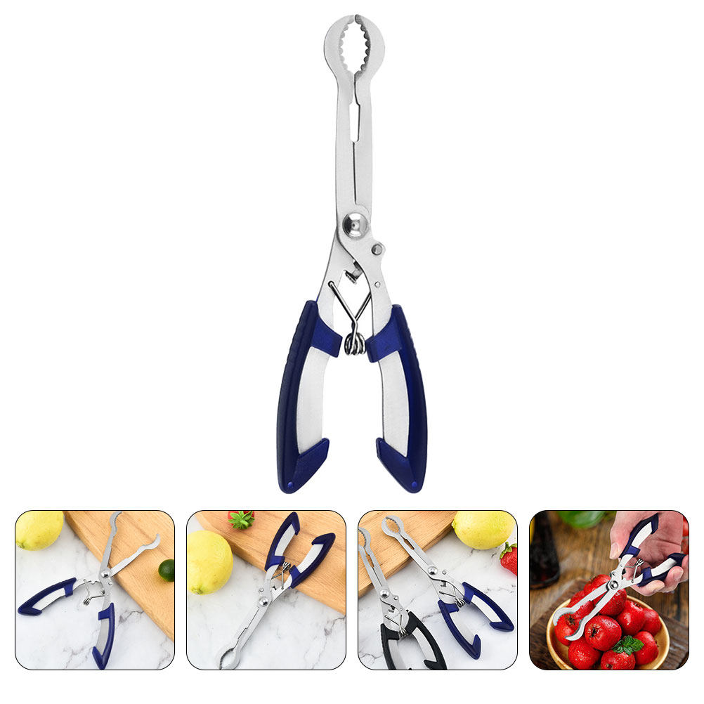 Roestvrijstalen meidoorn-ontpi - Kitchen Gadgets And Tools recensie en prijs
